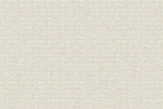 テクスチャデータ)エコカラット_Sシリーズ_ランド_土もの調__25×75角ネット張り